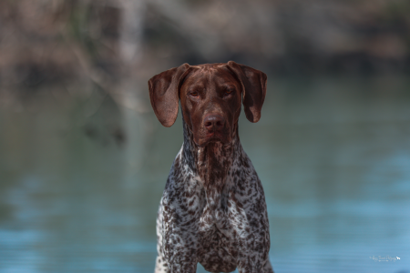 Concho