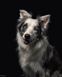 Indigo